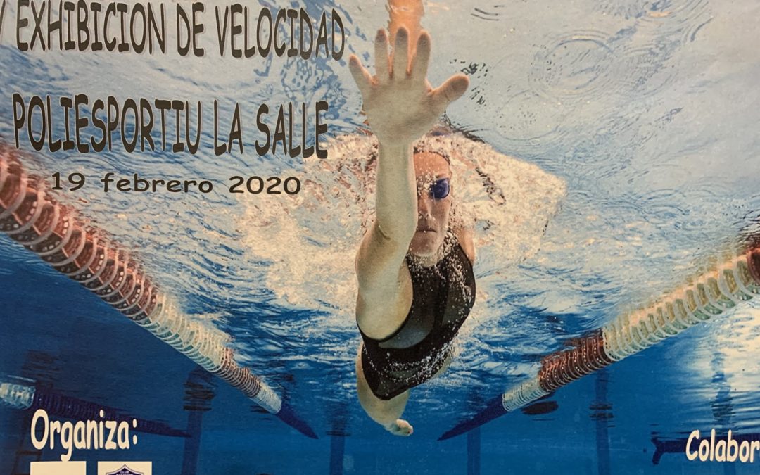 Cursillo Natación -Velocidad